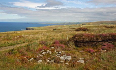 Ceide Fields Bog